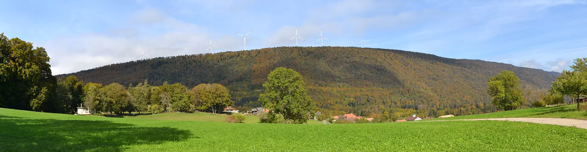 Bannière Romont